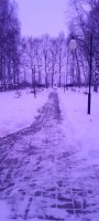 Чистим снег 